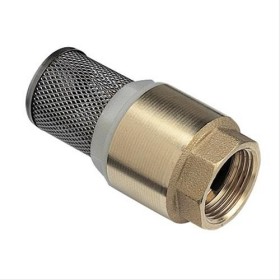Clapet crépine universel en laiton F2’’